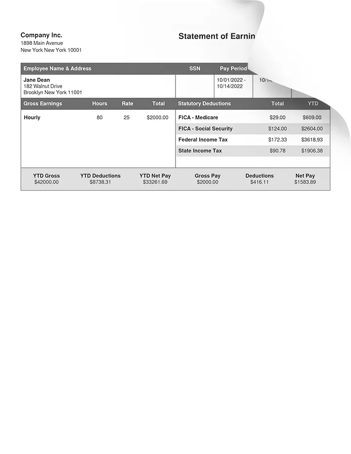 Check stub generator showing payroll breakdown example