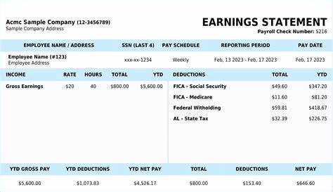 Professional paycheck stub PDF ready for download and submission
