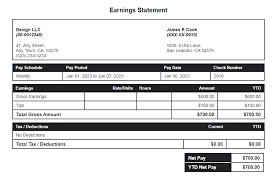 Close-up of CVS paystub showing earnings, deductions, and net pay details.